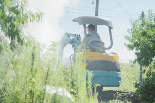 ネームプレートをかけている桃の木